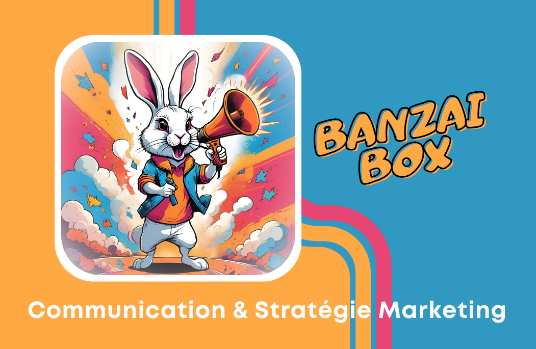 Banzai Box Communication